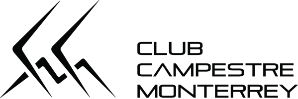 Desarrollo CCM